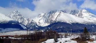 images (5)